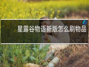 星露谷物语新版怎么刷物品