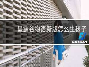 星露谷物语新版怎么生孩子