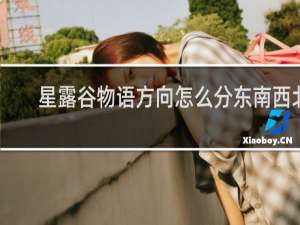 星露谷物语方向怎么分东南西北
