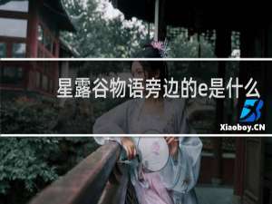 星露谷物语旁边的e是什么