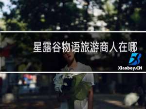 星露谷物语旅游商人在哪