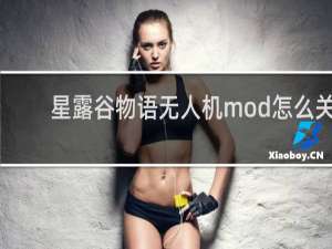 星露谷物语无人机mod怎么关