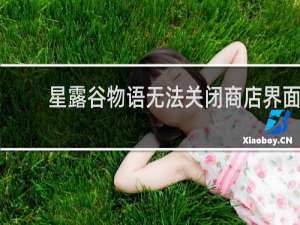 星露谷物语无法关闭商店界面