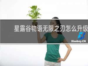 星露谷物语无限之刃怎么升级