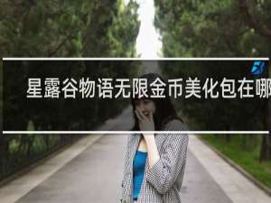 星露谷物语无限金币美化包在哪下