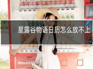 星露谷物语日历怎么放不上