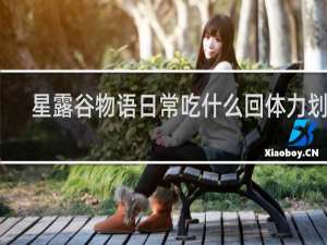 星露谷物语日常吃什么回体力划算