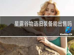 星露谷物语旧装备能出售吗