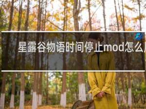 星露谷物语时间停止mod怎么用