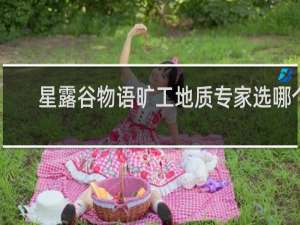 星露谷物语旷工地质专家选哪个