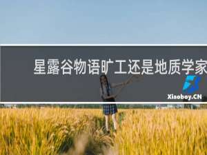 星露谷物语旷工还是地质学家