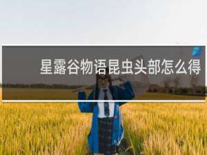星露谷物语昆虫头部怎么得