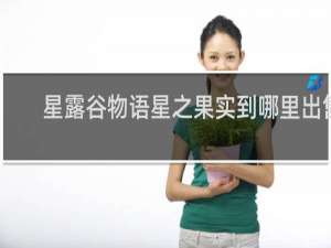 星露谷物语星之果实到哪里出售