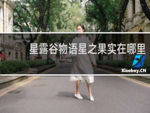 星露谷物语星之果实在哪里