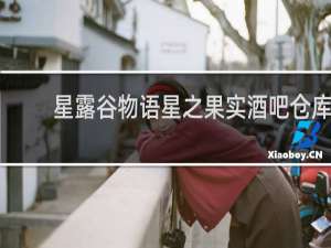 星露谷物语星之果实酒吧仓库