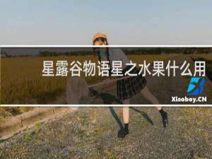 星露谷物语星之水果什么用