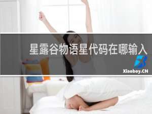 星露谷物语星代码在哪输入