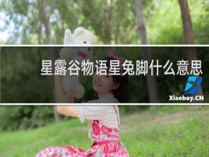星露谷物语星兔脚什么意思