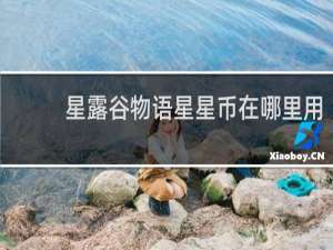 星露谷物语星星币在哪里用