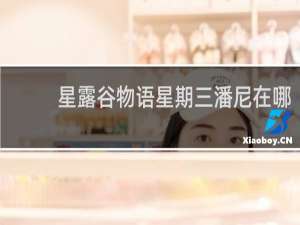 星露谷物语星期三潘尼在哪