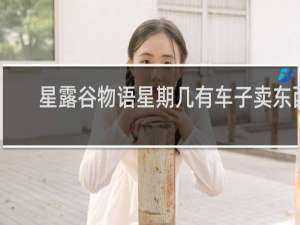 星露谷物语星期几有车子卖东西