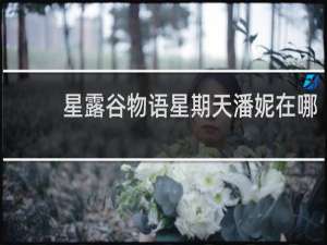 星露谷物语星期天潘妮在哪