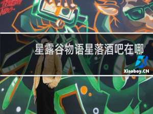 星露谷物语星落酒吧在哪