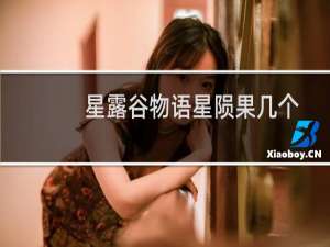 星露谷物语星陨果几个