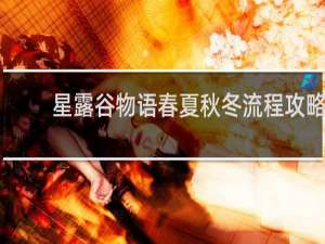 星露谷物语春夏秋冬流程攻略