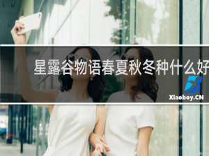 星露谷物语春夏秋冬种什么好
