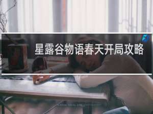 星露谷物语春天开局攻略