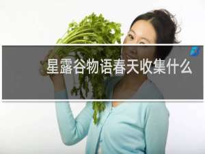 星露谷物语春天收集什么
