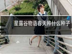 星露谷物语春天种什么种子