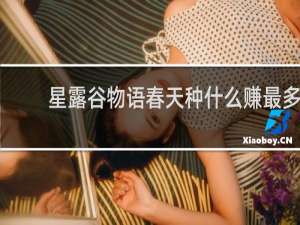 星露谷物语春天种什么赚最多
