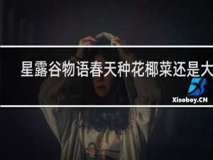 星露谷物语春天种花椰菜还是大黄