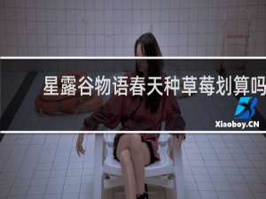 星露谷物语春天种草莓划算吗