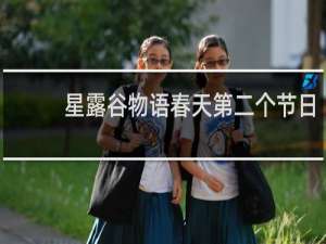 星露谷物语春天第二个节日