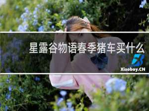 星露谷物语春季猪车买什么