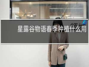 星露谷物语春季种植什么用