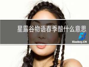 星露谷物语春季酿什么意思