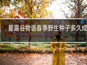 星露谷物语春季野生种子多久成熟