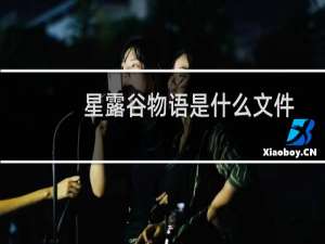 星露谷物语是什么文件