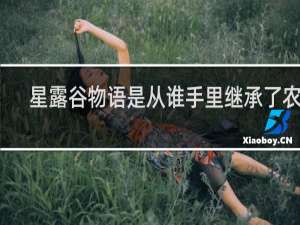 星露谷物语是从谁手里继承了农场