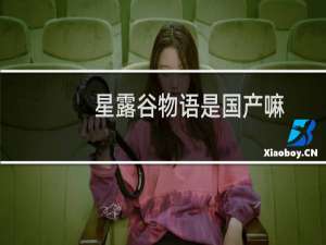 星露谷物语是国产嘛