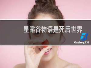 星露谷物语是死后世界