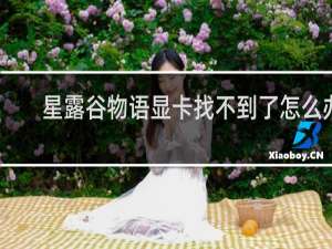 星露谷物语显卡找不到了怎么办