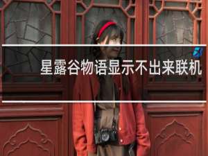 星露谷物语显示不出来联机