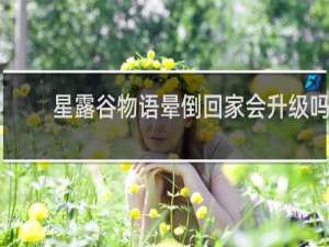 星露谷物语晕倒回家会升级吗