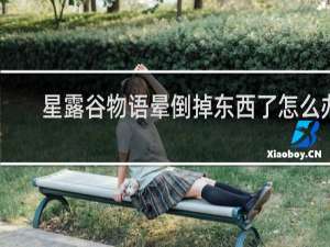 星露谷物语晕倒掉东西了怎么办