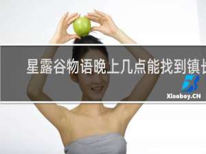 星露谷物语晚上几点能找到镇长